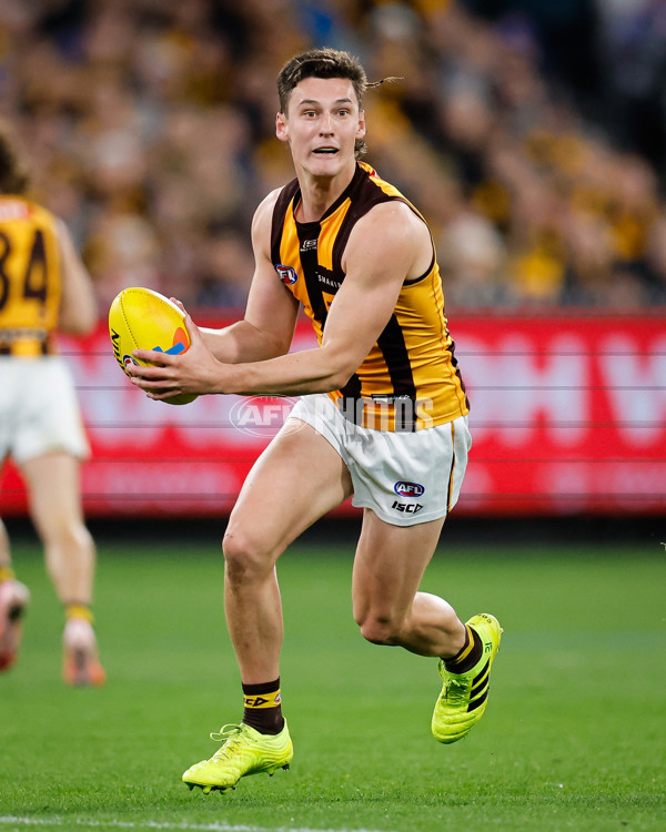 AFL 2024 Second Elimination Final - Western Bulldogs v Hawthorn - A-53722597