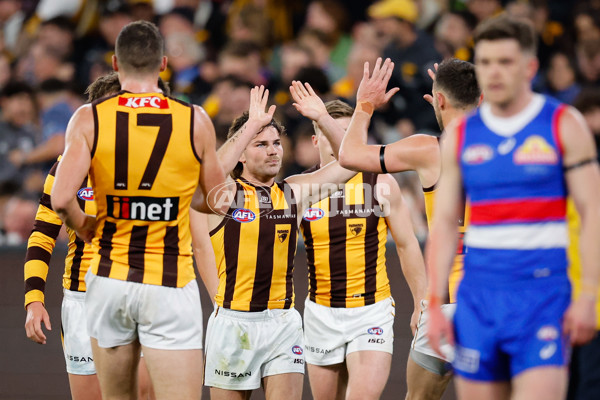 AFL 2024 Second Elimination Final - Western Bulldogs v Hawthorn - A-53723325