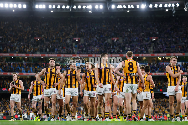AFL 2024 Second Elimination Final - Western Bulldogs v Hawthorn - A-53723326