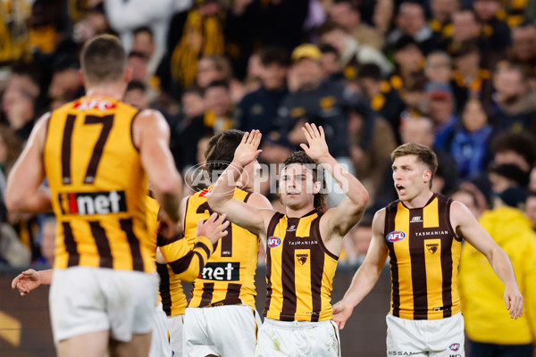 AFL 2024 Second Elimination Final - Western Bulldogs v Hawthorn - A-53723329