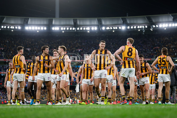 AFL 2024 Second Elimination Final - Western Bulldogs v Hawthorn - A-53723330