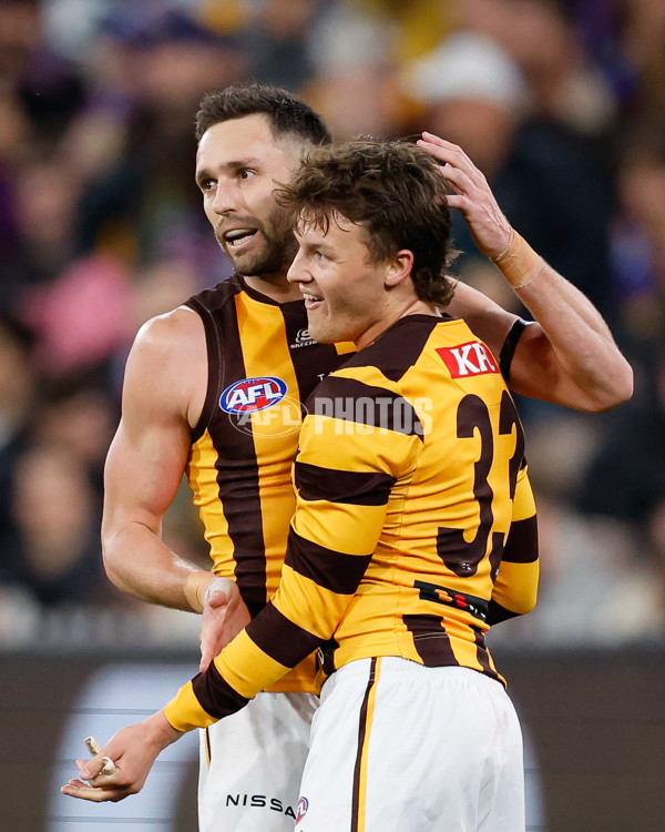 AFL 2024 Second Elimination Final - Western Bulldogs v Hawthorn - A-53723332