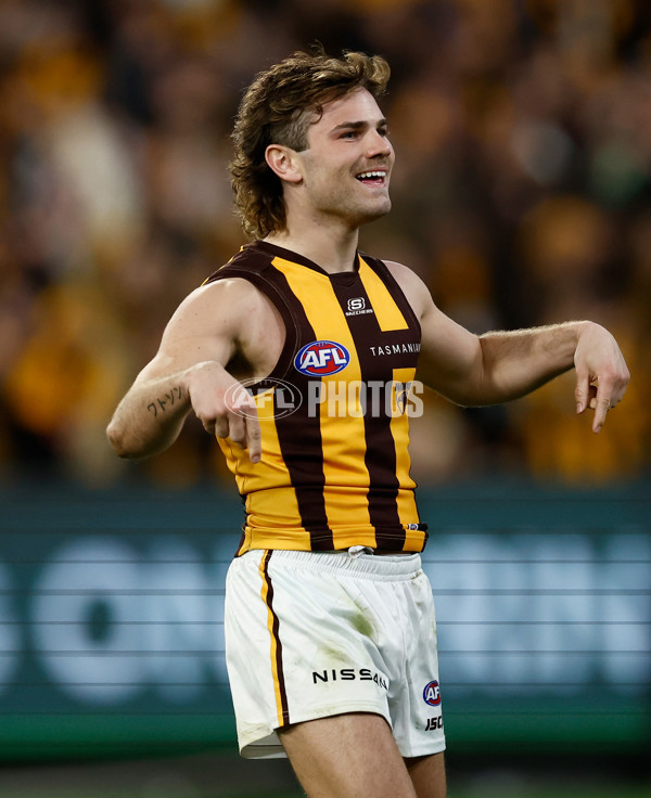 AFL 2024 Second Elimination Final - Western Bulldogs v Hawthorn - A-53723347