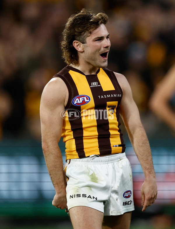 AFL 2024 Second Elimination Final - Western Bulldogs v Hawthorn - A-53723348