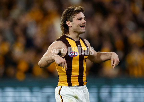 AFL 2024 Second Elimination Final - Western Bulldogs v Hawthorn - A-53723349
