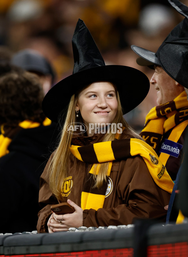 AFL 2024 Second Elimination Final - Western Bulldogs v Hawthorn - A-53723353