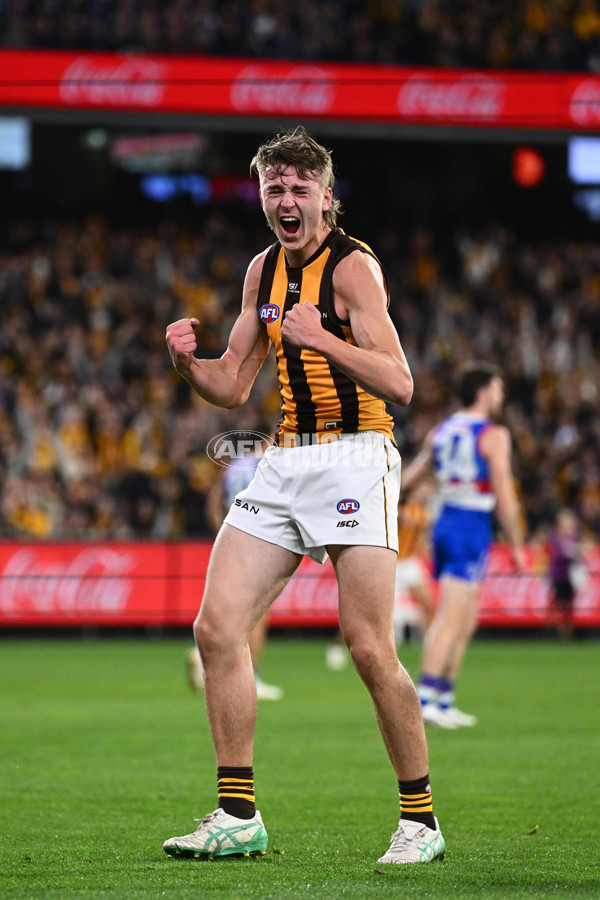 AFL 2024 Second Elimination Final - Western Bulldogs v Hawthorn - A-53723354