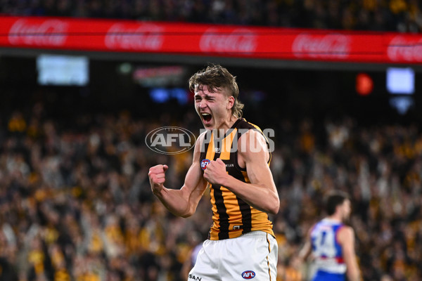 AFL 2024 Second Elimination Final - Western Bulldogs v Hawthorn - A-53723358