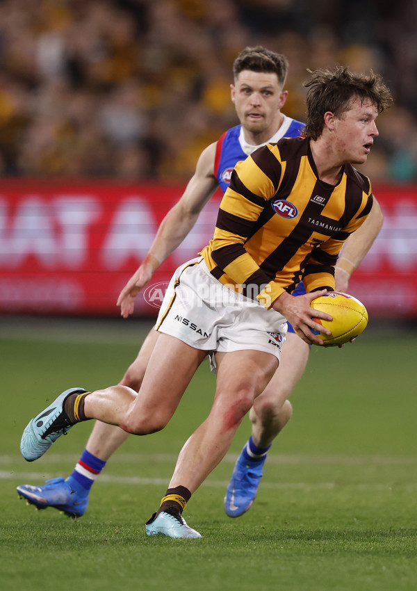 AFL 2024 Second Elimination Final - Western Bulldogs v Hawthorn - A-53723369