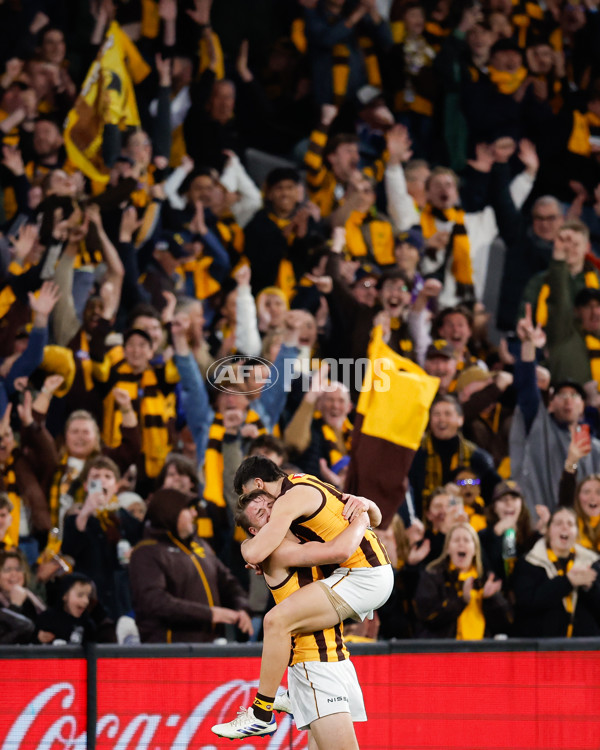 AFL 2024 Second Elimination Final - Western Bulldogs v Hawthorn - A-53723374