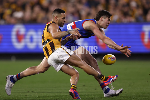 AFL 2024 Second Elimination Final - Western Bulldogs v Hawthorn - A-53723402