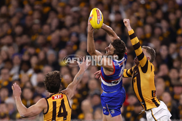AFL 2024 Second Elimination Final - Western Bulldogs v Hawthorn - A-53724931