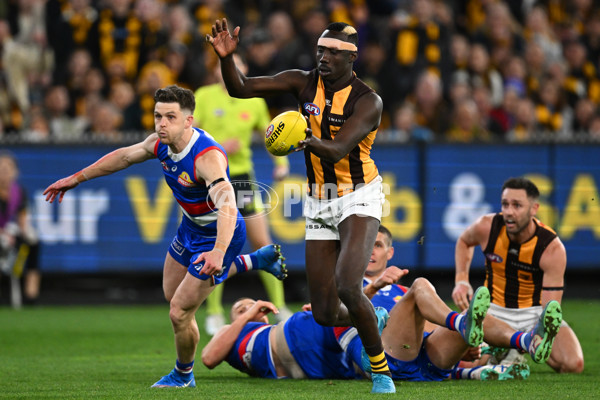 AFL 2024 Second Elimination Final - Western Bulldogs v Hawthorn - A-53724932