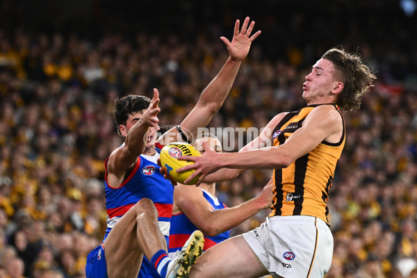 AFL 2024 Second Elimination Final - Western Bulldogs v Hawthorn - A-53724934
