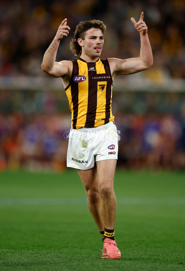AFL 2024 Second Elimination Final - Western Bulldogs v Hawthorn - A-53724936
