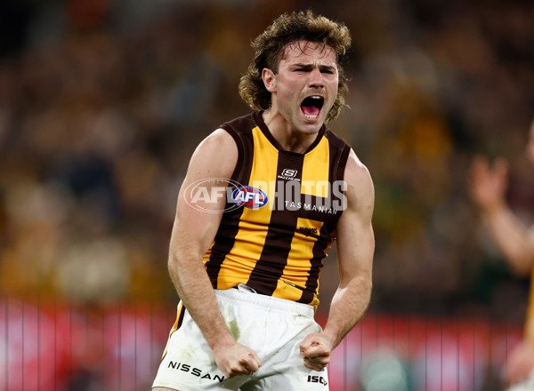 AFL 2024 Second Elimination Final - Western Bulldogs v Hawthorn - A-53724940