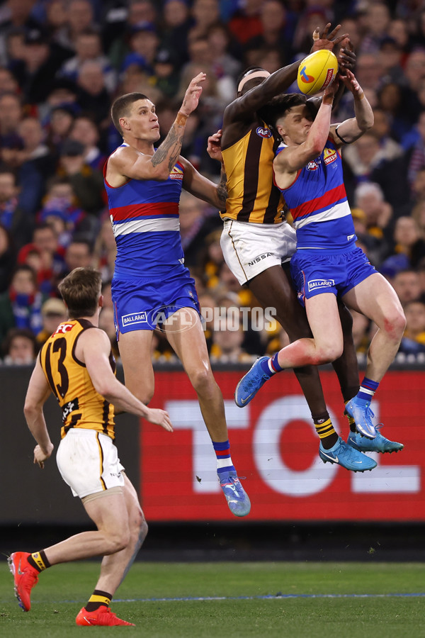 AFL 2024 Second Elimination Final - Western Bulldogs v Hawthorn - A-53724947