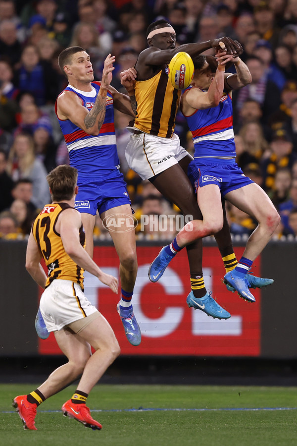 AFL 2024 Second Elimination Final - Western Bulldogs v Hawthorn - A-53724948