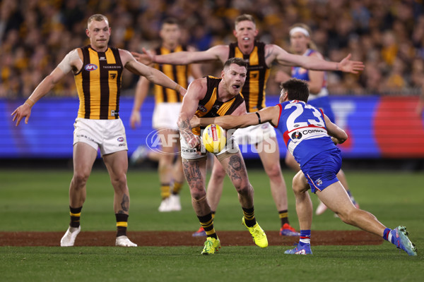 AFL 2024 Second Elimination Final - Western Bulldogs v Hawthorn - A-53724950