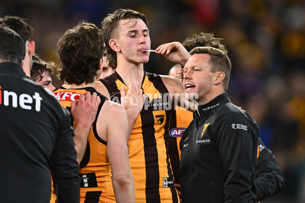AFL 2024 Second Elimination Final - Western Bulldogs v Hawthorn - A-53724976