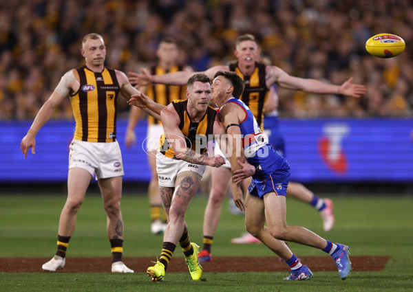 AFL 2024 Second Elimination Final - Western Bulldogs v Hawthorn - A-53724984