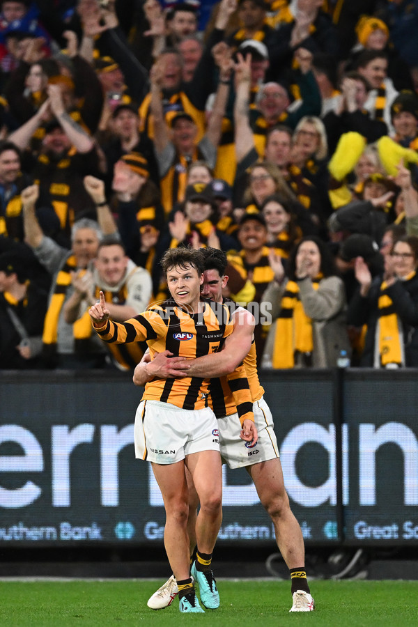 AFL 2024 Second Elimination Final - Western Bulldogs v Hawthorn - A-53724985