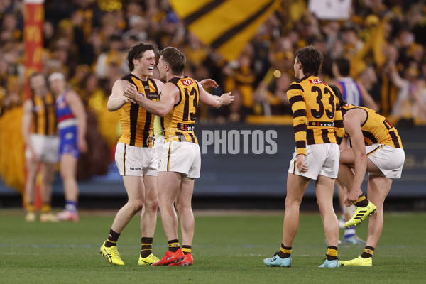 AFL 2024 Second Elimination Final - Western Bulldogs v Hawthorn - A-53725028