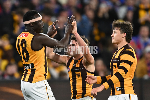 AFL 2024 Second Elimination Final - Western Bulldogs v Hawthorn - A-53725944