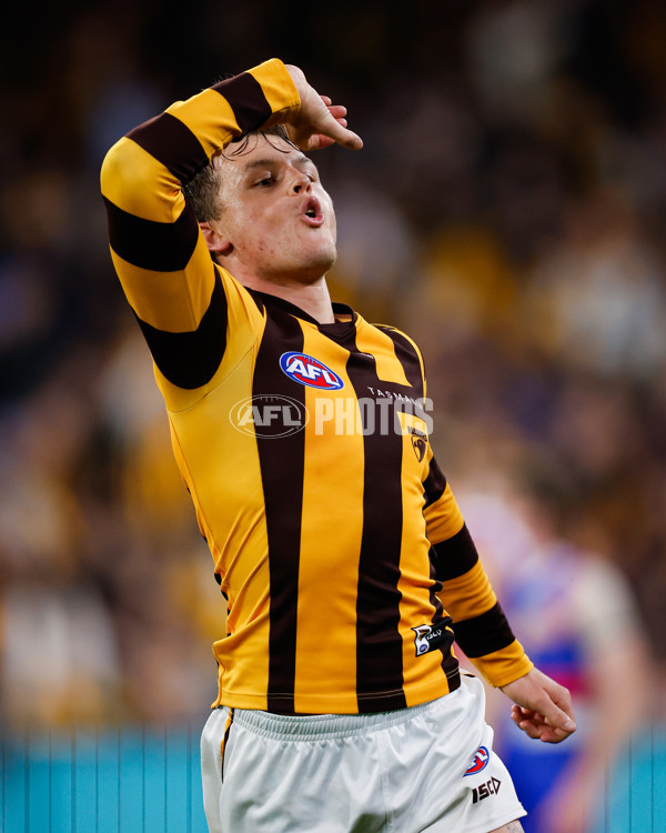 AFL 2024 Second Elimination Final - Western Bulldogs v Hawthorn - A-53725964
