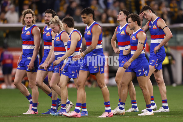 AFL 2024 Second Elimination Final - Western Bulldogs v Hawthorn - A-53726013