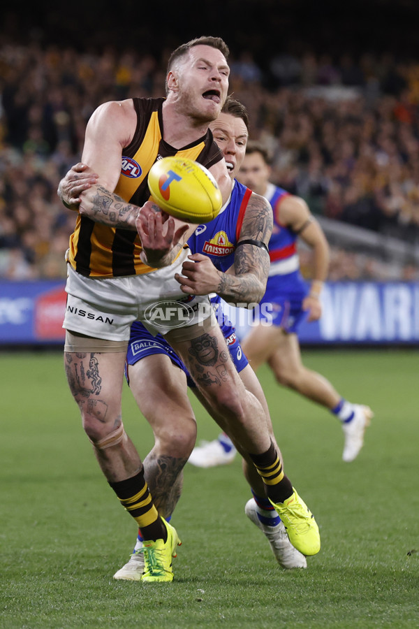AFL 2024 Second Elimination Final - Western Bulldogs v Hawthorn - A-53727839