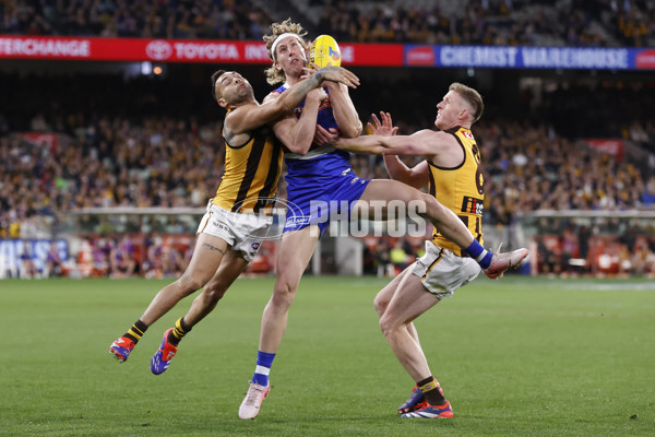AFL 2024 Second Elimination Final - Western Bulldogs v Hawthorn - A-53727841