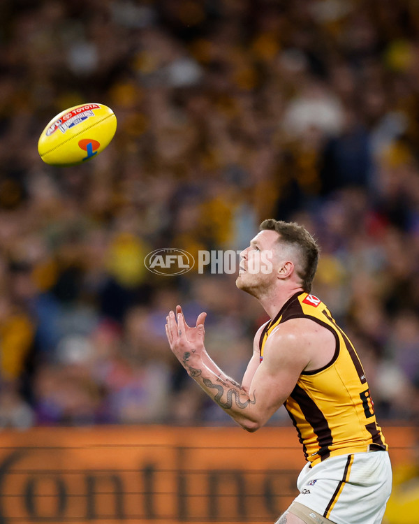 AFL 2024 Second Elimination Final - Western Bulldogs v Hawthorn - A-53728810