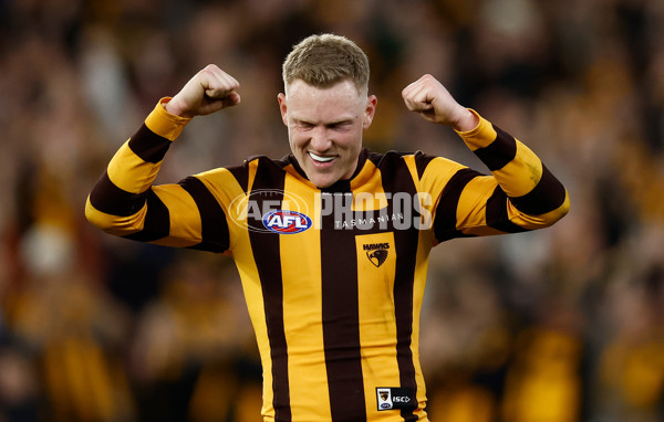 AFL 2024 Second Elimination Final - Western Bulldogs v Hawthorn - A-53728842