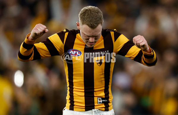 AFL 2024 Second Elimination Final - Western Bulldogs v Hawthorn - A-53730503
