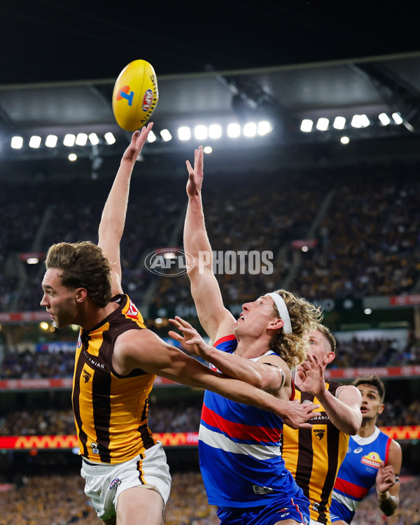 AFL 2024 Second Elimination Final - Western Bulldogs v Hawthorn - A-53730541