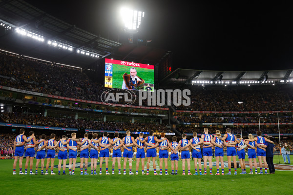 AFL 2024 Second Elimination Final - Western Bulldogs v Hawthorn - A-53730546
