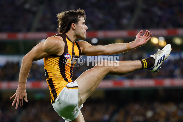 AFL 2024 Second Elimination Final - Western Bulldogs v Hawthorn - A-53730914