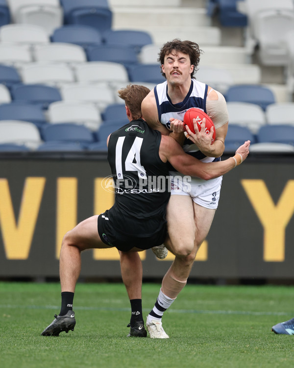 VFL 2024 First Semi Final - Geelong v Southport - A-53777436