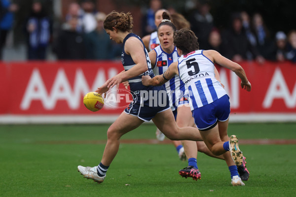 AFLW 2024 Round 02 - North Melbourne v Geelong - A-53809038