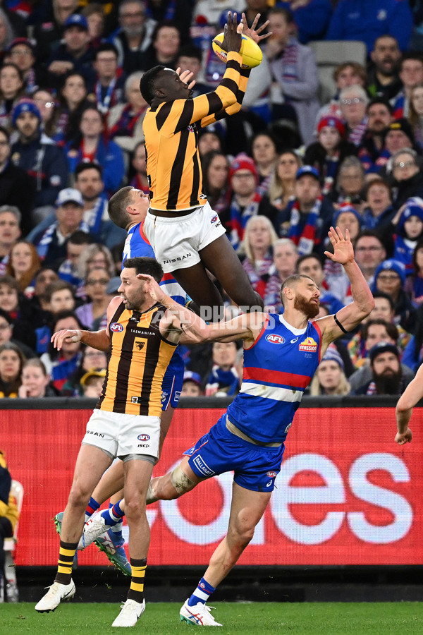 AFL 2024 Second Elimination Final - Western Bulldogs v Hawthorn - A-53931077