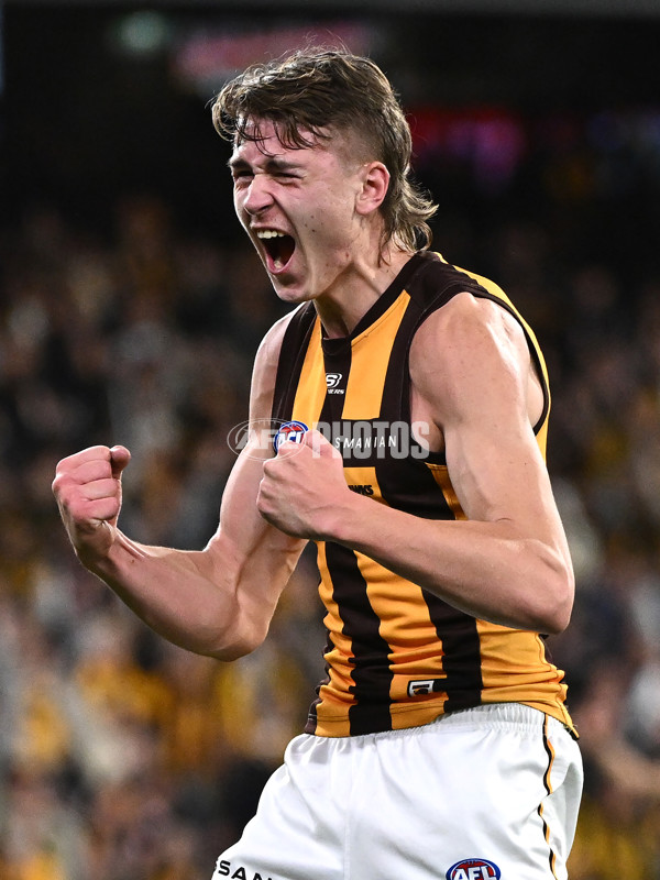 AFL 2024 Second Elimination Final - Western Bulldogs v Hawthorn - A-53931081