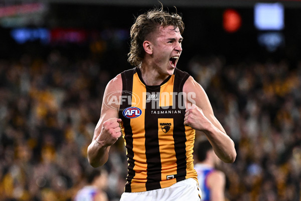 AFL 2024 Second Elimination Final - Western Bulldogs v Hawthorn - A-53931082