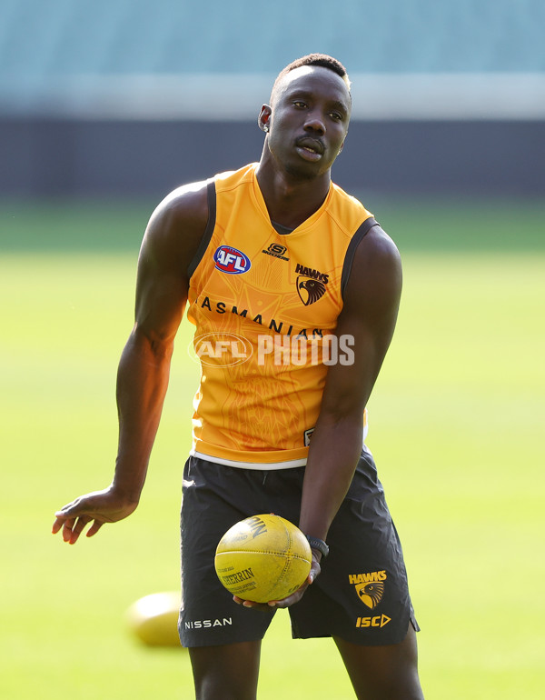 AFL 2024 Training - Hawthorn 120924 - A-53980476