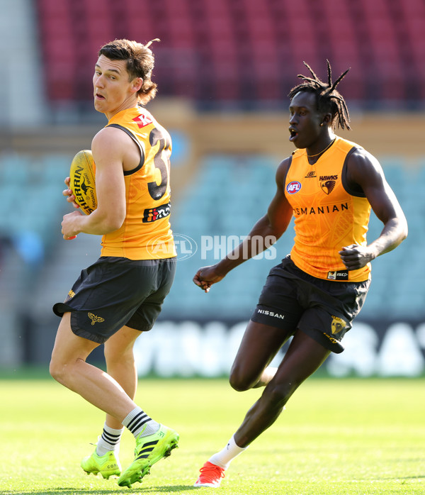 AFL 2024 Training - Hawthorn 120924 - A-53980493