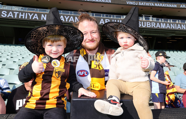 AFL 2024 Training - Hawthorn 120924 - A-53980882
