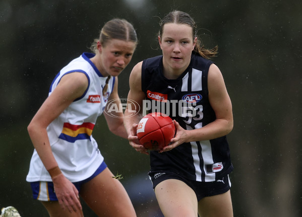 Coates Talent League Girls 2024 Second Preliminary Final - Geelong v Eastern Ranges - A-54021794