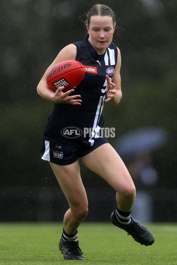 Coates Talent League Girls 2024 Second Preliminary Final - Geelong v Eastern Ranges - A-54033695