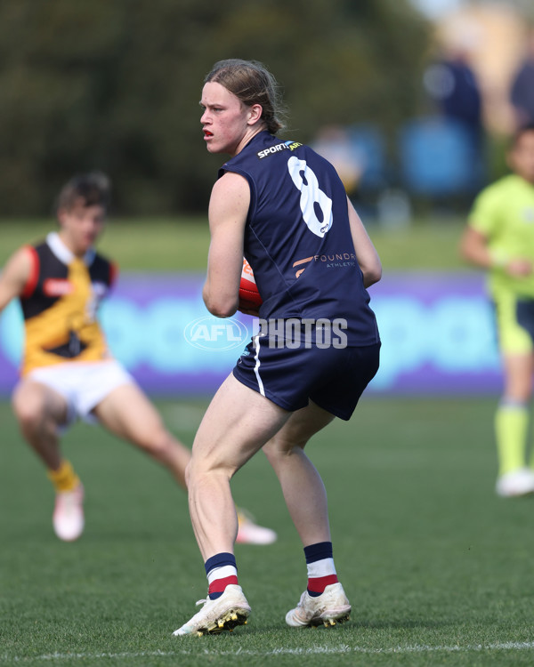 Coates League Boys 2024 First Preliminary Final - Sandringham v Dandenong - A-54085913