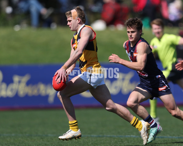 Coates League Boys 2024 First Preliminary Final - Sandringham v Dandenong - A-54085943